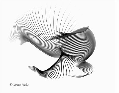 64-65-web-B&W-reversal-bkend-larger-file-unshrpn-crop-levels-unshrpn.jpg