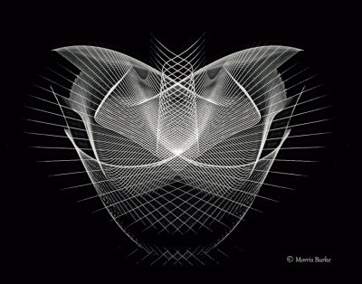 18-109-web-digital-feline-flip-vertically-copyright-smart-sharpen-lower-opacity-copyright-digital-symmetry-2.jpg