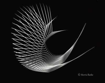 197-197-web-copyright-b-blend-B&W-large-file.jpg