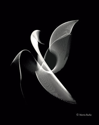 34-41-web-Costco-B&W-rotate-copyright-unshrpn-blend-unshrpn-hdr-unshrpn-larger-file-unshrpn.jpg