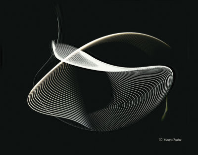 6--110-web-copyright-B&W-copyright-crop-shkrdn.jpg