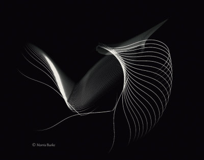 90-web-copyright-B&W-large-file-unshrpn.jpg