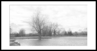 landscape_favorites