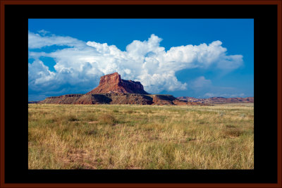 Approaching Summer Storm, AZ.
