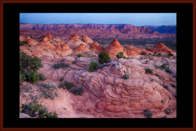 Arizona