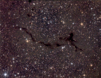 Barnard 150, the Seahorse Nebula