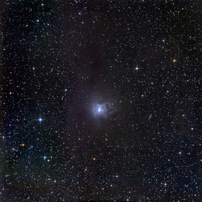 NGC_7023, la Nbuleuse de l'Iris