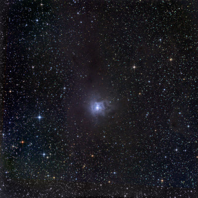 NGC_7023, la Nébuleuse de l'Iris