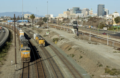 g12/93/828493/3/171355592.hNB5cETr.jpg