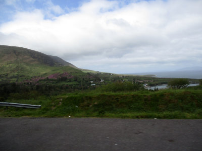 RING OF KERRY - ROADSIDE VIEW