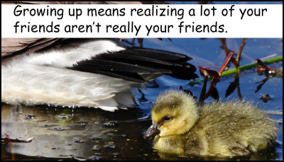 friends - growing up means realizing.jpg