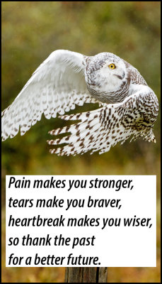 past_v_pain_makes_you_stonger.jpg