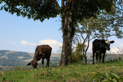 Costa_Rica_Arenal_Tour_D190416_066_www.jpg