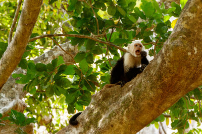 Costa_Rica_ATV_Tour_D190412_031_www.jpg