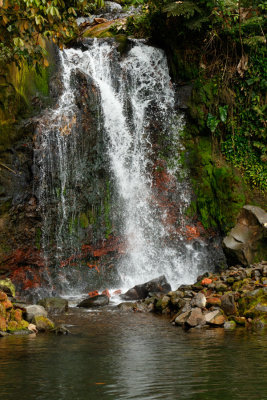 Costa_Rica_Blue_Water_Tour_D190407_0709_www.jpg