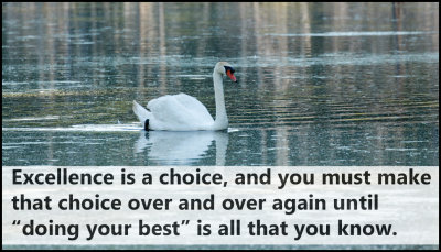 choice_excellence_is_a_choice.jpg