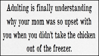 adult_adulting_is_finally_understanding.jpg