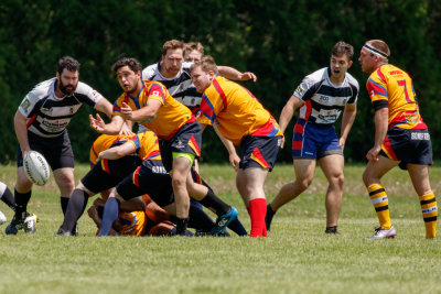 Chatham Havoc Rugby