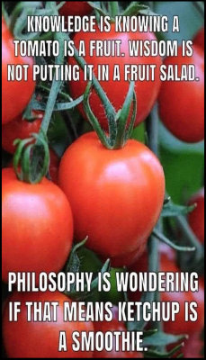 knowledge_v_knowledge_is_knowing_a_tomato.jpg