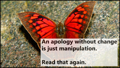 change_an_apology_without_change.jpg