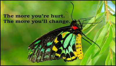 change_v_the_more_youre_hurt.jpg