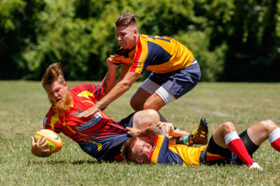 Havoc_Rugby_D190708_170_www.jpg