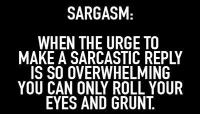 sarcasm_sargasm.jpg