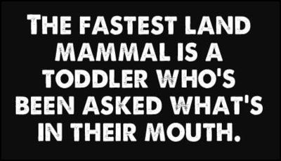 children_the_fastest_land_mammal.jpg