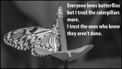 Trust/Truth