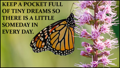 dream_I_keep_a_pocket_full_of.jpg