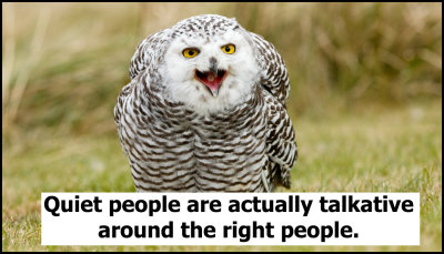 people_quiet_people_are_actuall_talkative.jpg