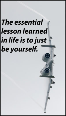 lessons - v - the essential lesson learned.jpg