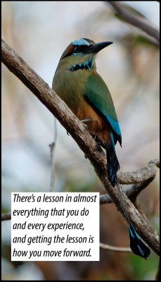 lessons - v - there's a lesson in almost.jpg