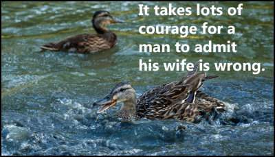 men - it takes lots of courage.jpg