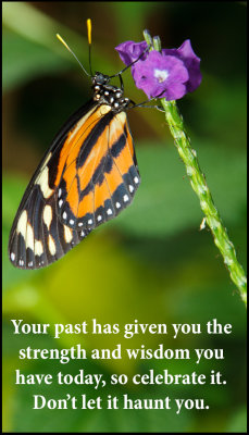 past - v - your past has given you.jpg