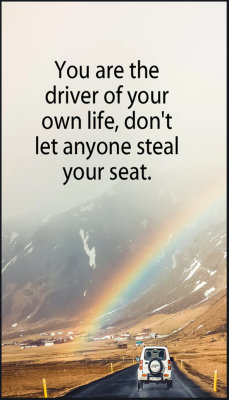 life - v - you are the driver.jpg
