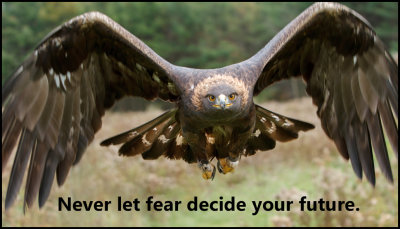 future - never let your fear.jpg