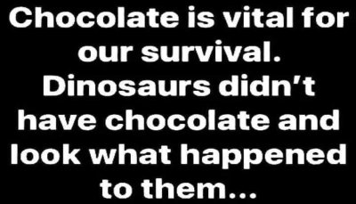 chocolate - chocolate is vital for our.jpg