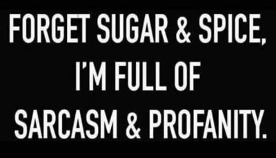 sarcasm - forget sugar and spice.jpg
