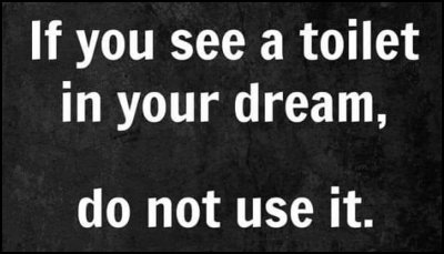 dream - if you see a toilet.jpg