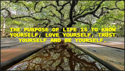 life - the purpose of life.jpg