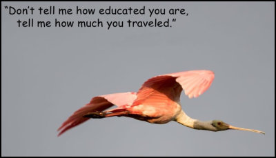 travel - don't tell me how educated.jpg