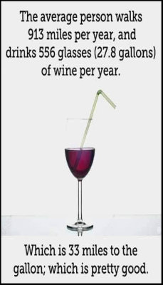 wine - v - the average person walks.jpg