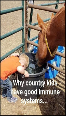 children - v - why country kids.jpg
