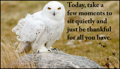 today - today take a few moments.jpg