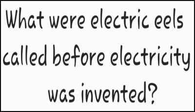 make u think - what were electric eels.jpg