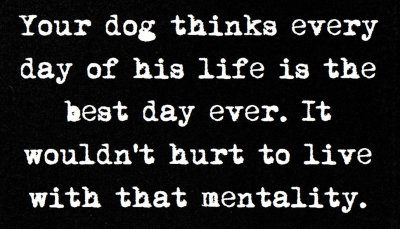 life - your dog thinks every day.jpg