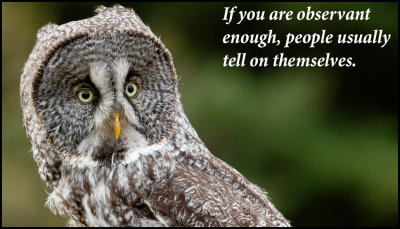 people - if you are observant.jpg