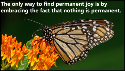 happiness - the only way to find permanent.jpg