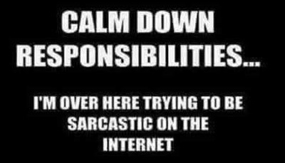 sarcasm - calm down responsibilites.jpg
